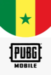 PUBG Mobile Guinea-Bissau USD_image