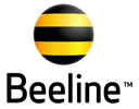 Beeline Kazakhstan KZT_image